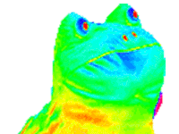 Rainbow Dancing Sticker