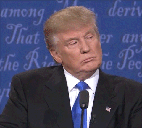 Political gif. Donald Trump during a presidential debate leans into the microphone with a serious face and says, “wrong.”