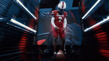 College Football GIF by gamecocksonline