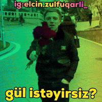 Elcin GIF
