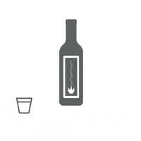 Cheers Copa GIF by salvadores