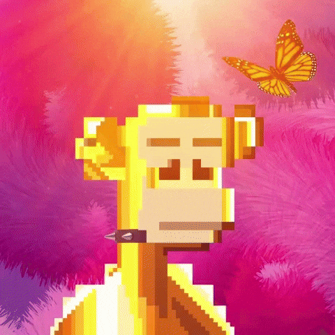 Is This Real Life GIF by The LSD Hotel