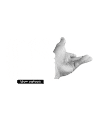 Идрам Sticker by Idram