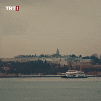 Travel Festival GIF by TRT