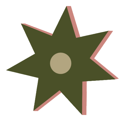estudiobizu giphyupload star dpv decoracaopravoce Sticker