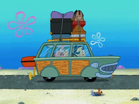 season 8 spongebob's runaway roadtrip: a squarepants family vacation GIF by SpongeBob SquarePants