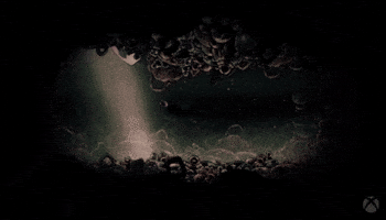 Crash Insect GIF by Xbox