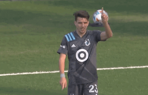 Minnesota United No GIF by Major League Soccer