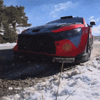 Snow Driving GIF by FIA World Rally Championship