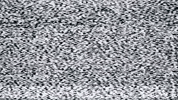 Noi Numberi GIF