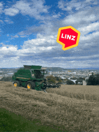 City Omg GIF by Linz News