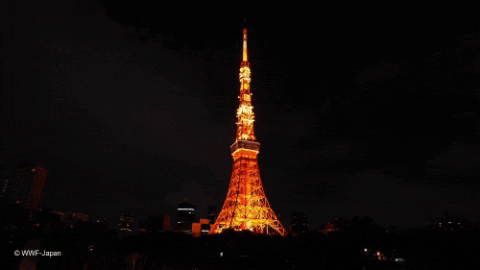 japan night GIF by Earth Hour