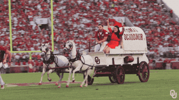 Baby Boomer GIF by University of Oklahoma