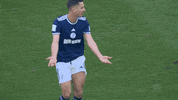 Football What GIF by FC Schalke 04