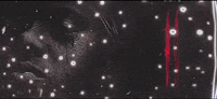Sheff G Sleepy Hallow GIF by Winners Circle