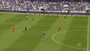 fckoeln football soccer bundesliga cologne GIF
