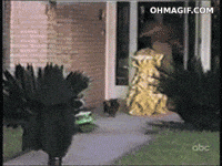 shi GIF