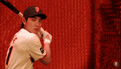 Giants Baseball GIF by San Francisco Giants