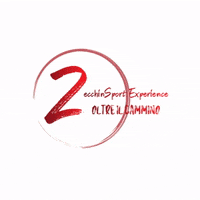 zecchinsport sport fitness run running GIF