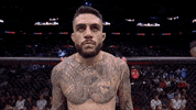 Mixed Martial Arts Sport GIF by UFC