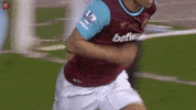 premier league soccer GIF by West Ham United