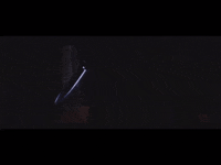 b-rad popcorn GIF by Jamie Kennedy