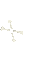 x bones Sticker by Peter Bjorn and John