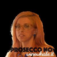 EnotecaAdriatica champagne prosecco winewhale GIF