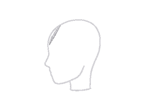 Calligraphy Script Sticker