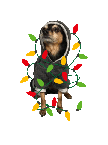 Christmas Apresski Sticker by FCB Inferno