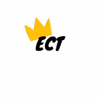 eastcoasttigers  GIF