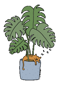 Cat Mood Sticker