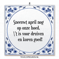 April Wijsheid GIF by Tegelspreuken.nl