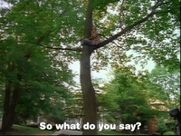 GIF by splattest