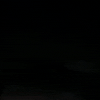Celebrate 4Th Of July GIF by NOSAM
