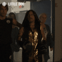 dog comedy GIF by CBC