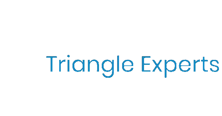 Trex1 Sticker by Triangle Experts