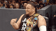 wwe reaction funny lol laugh GIF