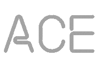 Ace Sticker by Seta