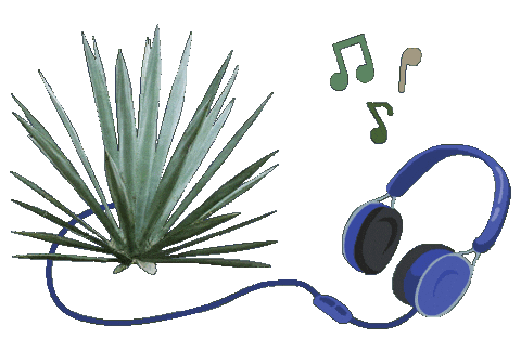 Mexico Musica Sticker by Santa Sabia Media