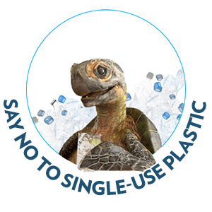 Earth Sticker by sodastreams