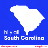 GIF by VoteGif