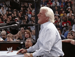 Royal Rumble Wrestling GIF by WWE