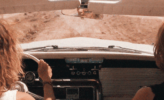 thelma and louise remix GIF