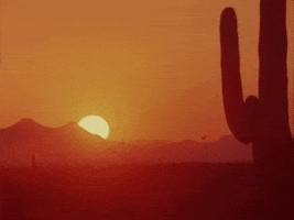 Vintage Sunset GIF