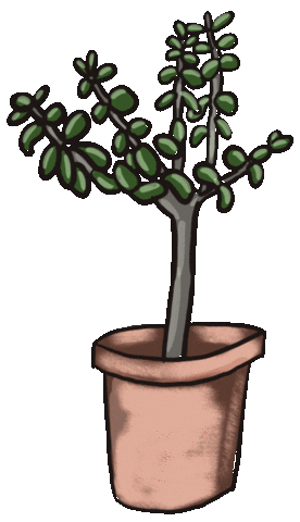 Grow Jade Plant Sticker by Kirsten Hurley