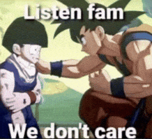 We Do Not Care Dragon Ball Z GIF