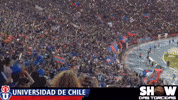 U De Chile Bulla GIF