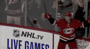 Celebrate Ice Hockey GIF by NHL