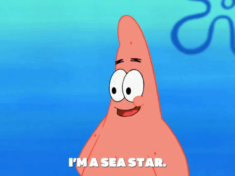 Season 7 Starfish GIF by SpongeBob SquarePants
